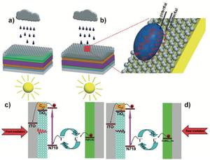 All weather solar cells 1